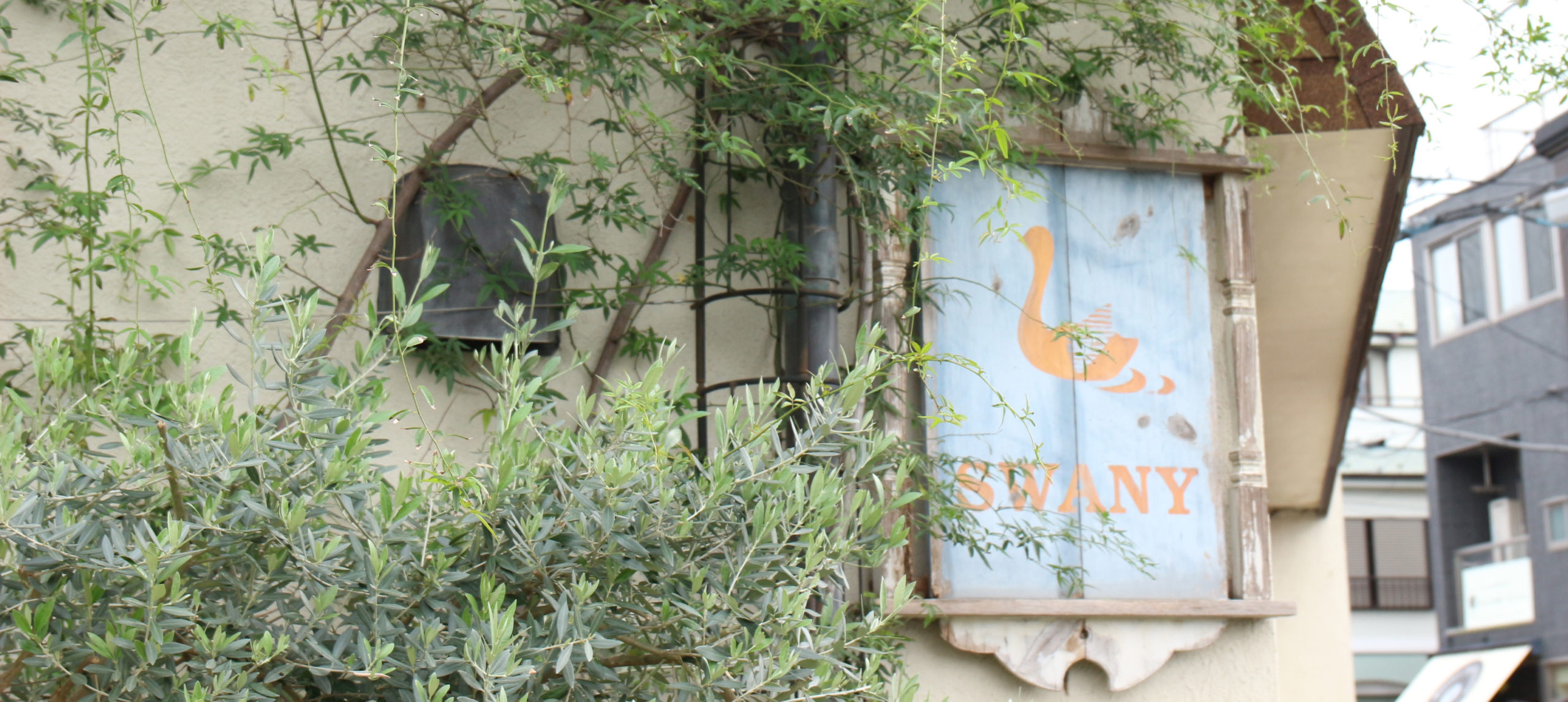 鎌倉スワニーについて